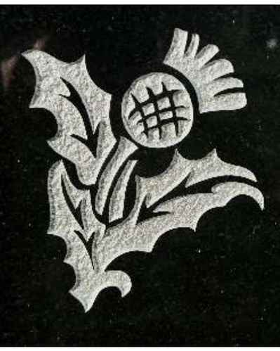 Example laser engraving - Scottish thistle